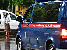 Российский криминалист назвал несколько видов маньяков