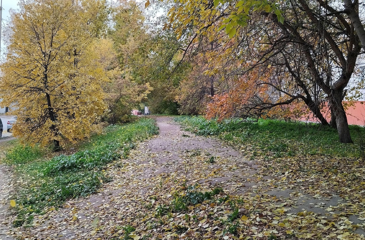 В Новосибирске обещают потепление, вызванное прохождением циклона