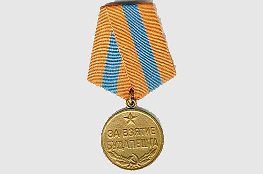75 лет назад завершилась Будапештская наступательная операция советских войск