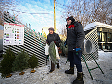 Сезонные вакансии в декабре: где нескучно и выгодно подработать перед праздниками