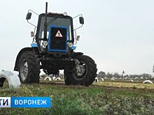В Воронежской области выбрали лучшего инспектора Гостехнадзора