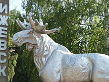 Рисунок лося появится на склоне набережной в Ижевске в День города