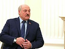 Лукашенко допустил создание единого парламента России и Белоруссии
