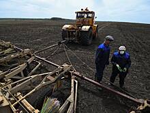 Российские аграрии стали реже закупать отечественную технику