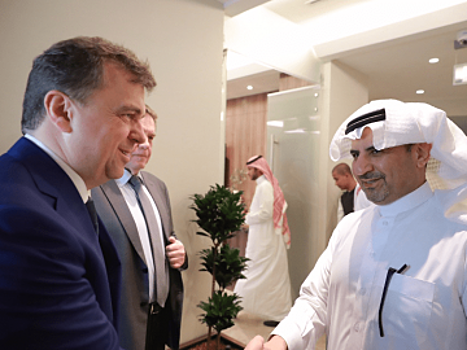 В Бахрейне и Саудовской Аравии прошли заседания рабочих групп по сотрудничеству в алюминиевой промышленности