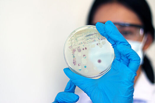 Российские специалисты создали «магнит» для обнаружения «малой чумы»