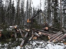 Сельхозпроизводители с 2019 года начнут платить НДС