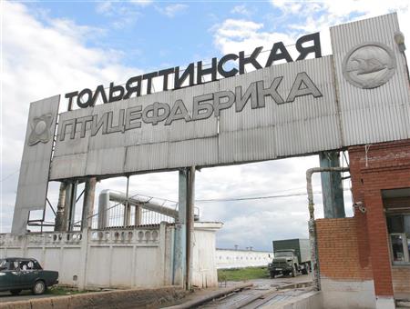 Производство Тольяттинской птицефабрики готовят к перезапуску