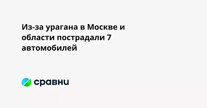 Из-за урагана в Москве и области пострадали 7 автомобилей