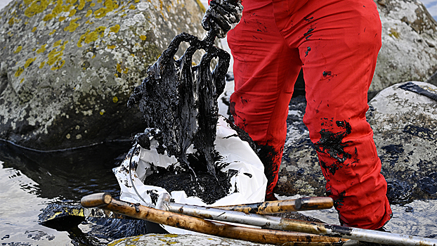 В РФ разработали способ очистки воды от нефтепродуктов с помощью бактерий