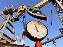 Назван размер выпадающих нефтегазовых доходов России