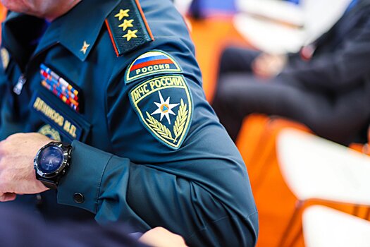 МЧС: в Подмосковье за сутки в результате пожаров скончались семь человек