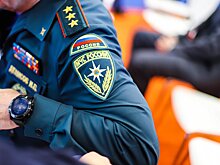 МЧС: в Подмосковье за сутки в результате пожаров скончались семь человек