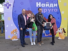 Шесть питомцев нашли новый дом на ярмарке бездомных животных