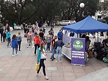 Во Владивостоке во второй раз провели благотворительный фестиваль-выставку собак «Дорога домой»