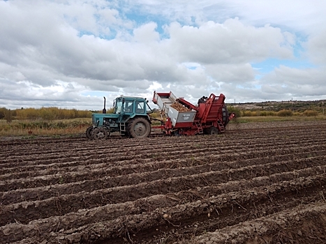 ​Забайкальцев приглашают принять участие в агроконференции в Москве