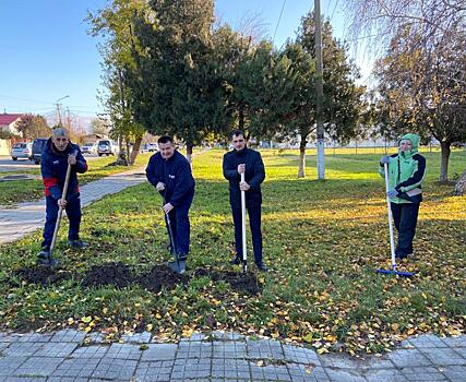В школе под Анапой заложили сад