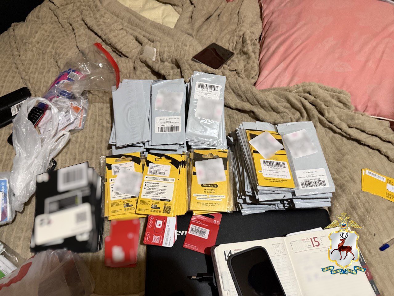 Жителя Арзамаса задержали за организацию мошеннической схемы с сим-боксами