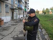 Полицейские Красноярского края охраняют Каменку после взрывов круглосуточно