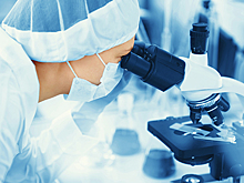 «Троянский конь» для бактерий. В Японии разработали антибиотик нового класса