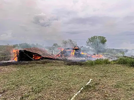 В Самарской области на трассе легковушка попала под КамАЗ