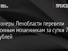 Пенсионеры Ленобласти перевели телефонным мошенникам за сутки 725 тыс. рублей