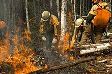 Формируя смыслы в СФО: серый дым лесных пожаров и красный зам полпреда