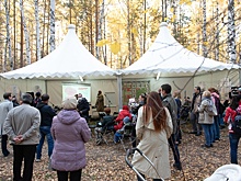 "Атомстройкомплекс" собирает предложения по созданию парка в Краснолесье