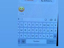 Анастасия Решетова пожаловалась на мошенников, пишущих от ее имени