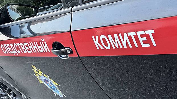 СК: Пенсионера Григорьева расстреляли боевики ВСУ под Суджей