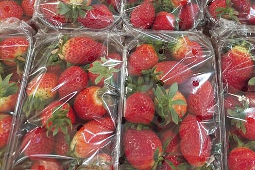 Врач назвала рацион для желающих замедлить старение