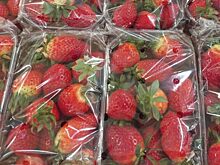 Несезонные покупки: какие фрукты и овощи теряют весь вкус и аромат