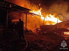 Пожарные справились с двумя пожарами в Нижегородской области