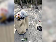 Свинству бой: в Ноябрьске просят привлекать к ответственности мусорящих на Ханто