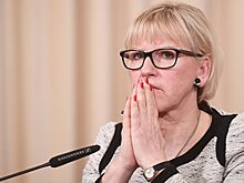 Глава МИД Швеции обеспокоена условиями проведения референдума в Турции