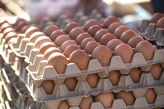 Минсельхоз планирует расширить льготное кредитование для производителей яиц