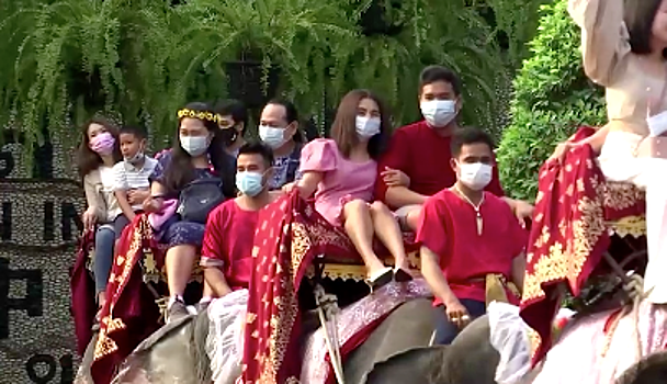 В Таиланде люди женятся, не сходя со слонов