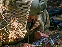 СМИ: украинский беспилотник атаковал село в Белгородской области