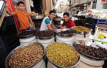 Сирия готовится возобновить экспорт оливкового масла