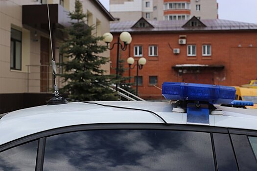 Госавтоинспекция предупреждает водителей о «сплошных проверках»