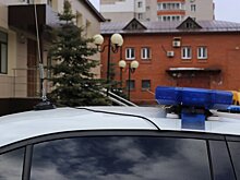 Госавтоинспекция предупреждает водителей о «сплошных проверках»