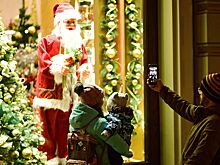 Как заработать на Новый год до ₽150 тысяч