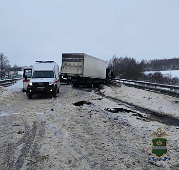Трое взрослых и ребенок погибли в массовом ДТП на трассе М-3