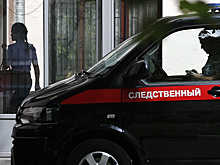 СК возбудил два дела по статье о реабилитации нацизма