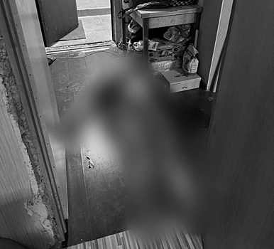 Неизвестный убил женщину шестью ударами ножа в спину в Москве