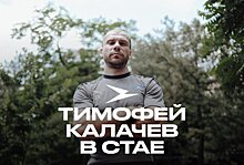 Тимофей Калачев пополнил тренерский штаб «Чайки»