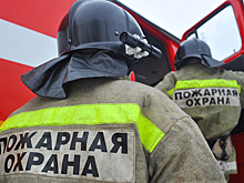 Психоневрологический интернат загорелся под Тверью