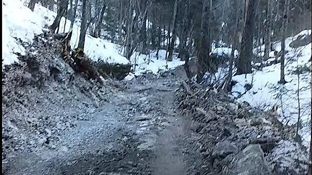 Всемирно известный памятник археологии уничтожают в Приморье