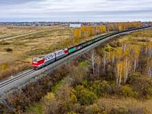 В декабре 2020 года общий парк магистральных грузовых локомотивов РЖД  сократился на 4,6% в годовой динамике и составил 10 674 тяг. ед.