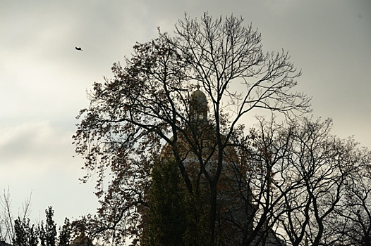 В Самаре ожидаются неблагоприятные метеоусловия 22-24 ноября